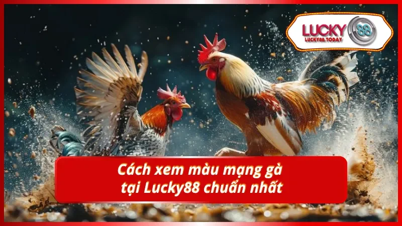Phương pháp nhận biết đá gà mạng một cách chính xác nhất