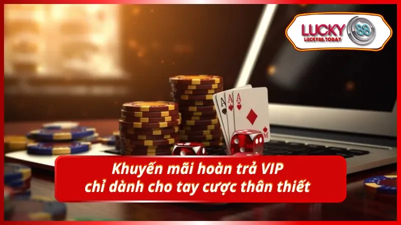 Ưu đãi hoàn tiền độc quyền cho hội viên trung thành