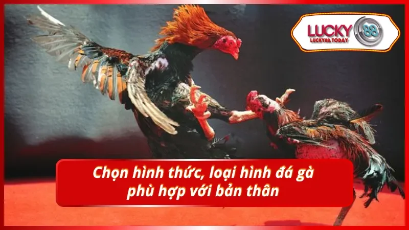 Lựa chọn hình thức và loại hình cá cược phù hợp