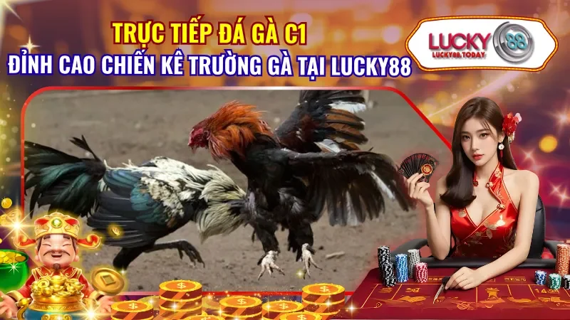 Trực Tiếp Đá Gà C1