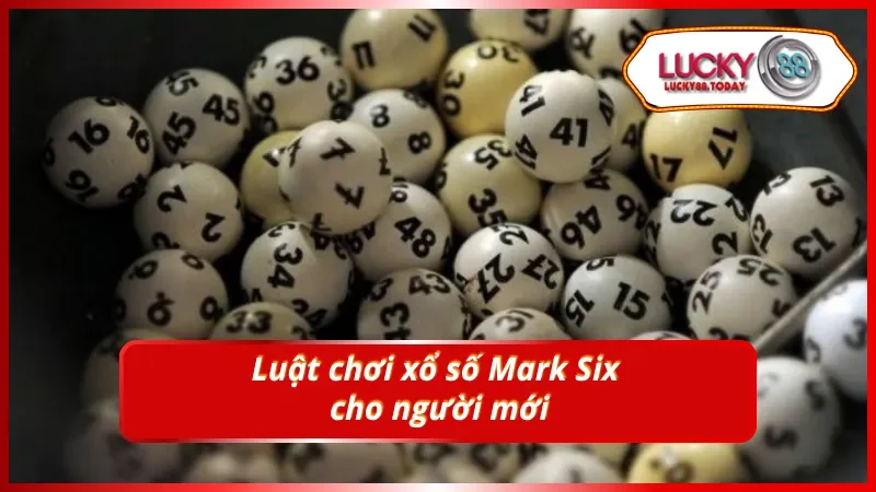 Hướng dẫn xổ số Mark Six cho tân thủ